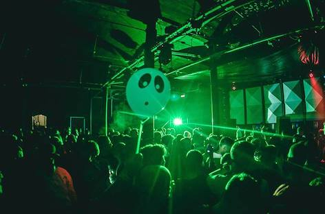 Nottingham promoter Wigflex launches citywide festival in 2019 image