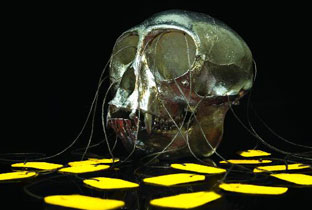 Zero T mixes FabricLive image
