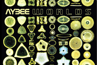 Aybee preps Worlds image