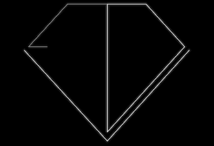 Diamond Versionがジャパンツアーを開催 image