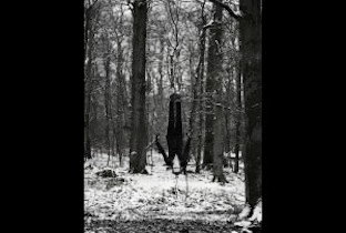 Svrecaの『Obscur』が2枚組CDでリリース image
