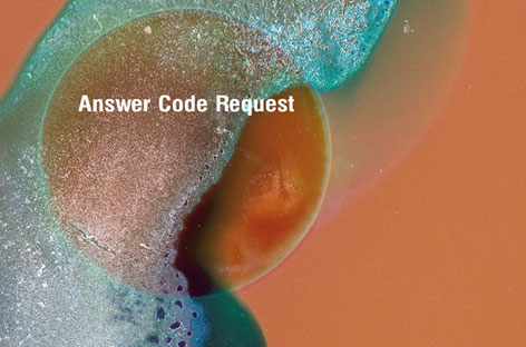 Answer Code Request gets ready to Breathe image