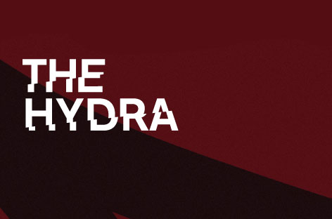 The Hydra outlines New Year's plans image