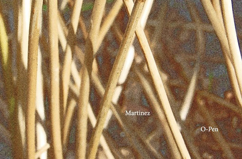 Martinez prepares O-Pen image