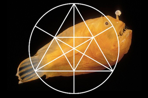 Mysteries Of The Deep hosts Rrose image