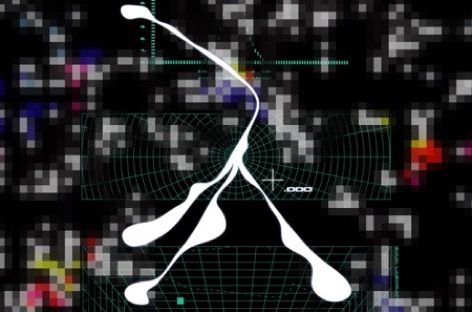 Ital, Shape Worship appear on Gang Of Ducks Paradisia compilation image