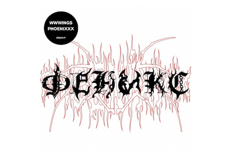 WWWINGS sign to Planet Mu for debut album, PHOENIXXX image
