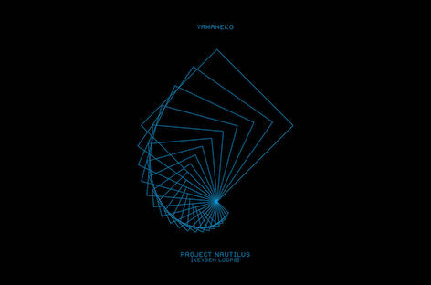 Local Action announces new Yamaneko album, Project Nautilus image