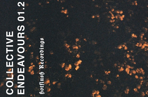 Hotflush details two-part compilation, Collective Endeavours image