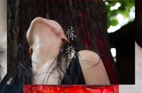 Pan Daijingが1stアルバム『Lack 惊蛰』をPANから発表 image