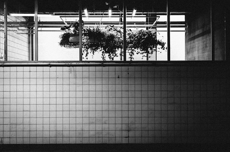 Utrecht pop-up club WAS. to remain open during first half of 2018 image