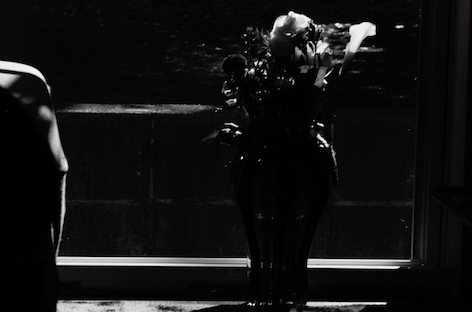 Petre Inspirescuが新作EP「Murgullll」を発表 image