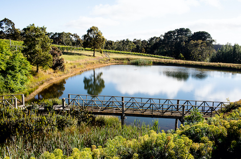 Victoria's Festival No.23 finalises its inaugural lineup image