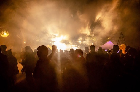 Organik Festival 2020の開催中止が決定 image