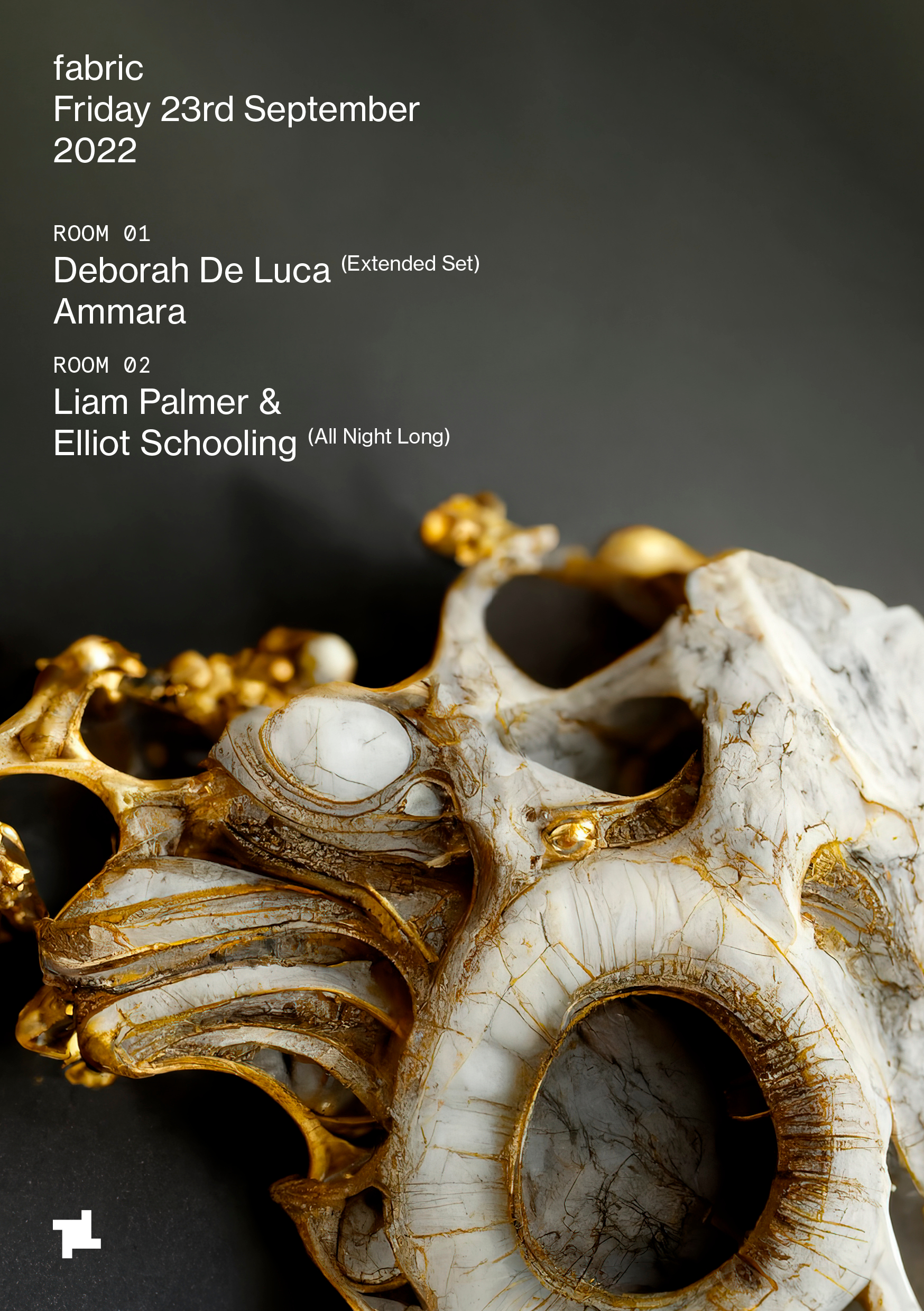 fabric: Deborah De Luca (Extended), AMMARA, Liam Palmer, Elliot Schooling  - Flyer front