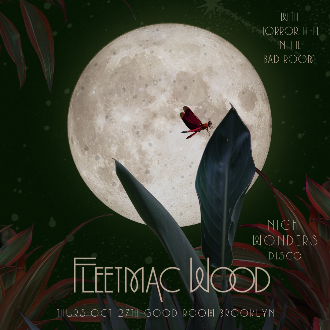Fleetmac Wood presents Night Wonders Disco - NYC - Flyer front