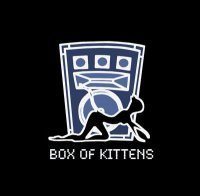 Box Of Kittens - Flyer front