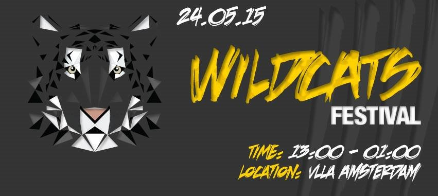 Wildcats Festival - Flyer front