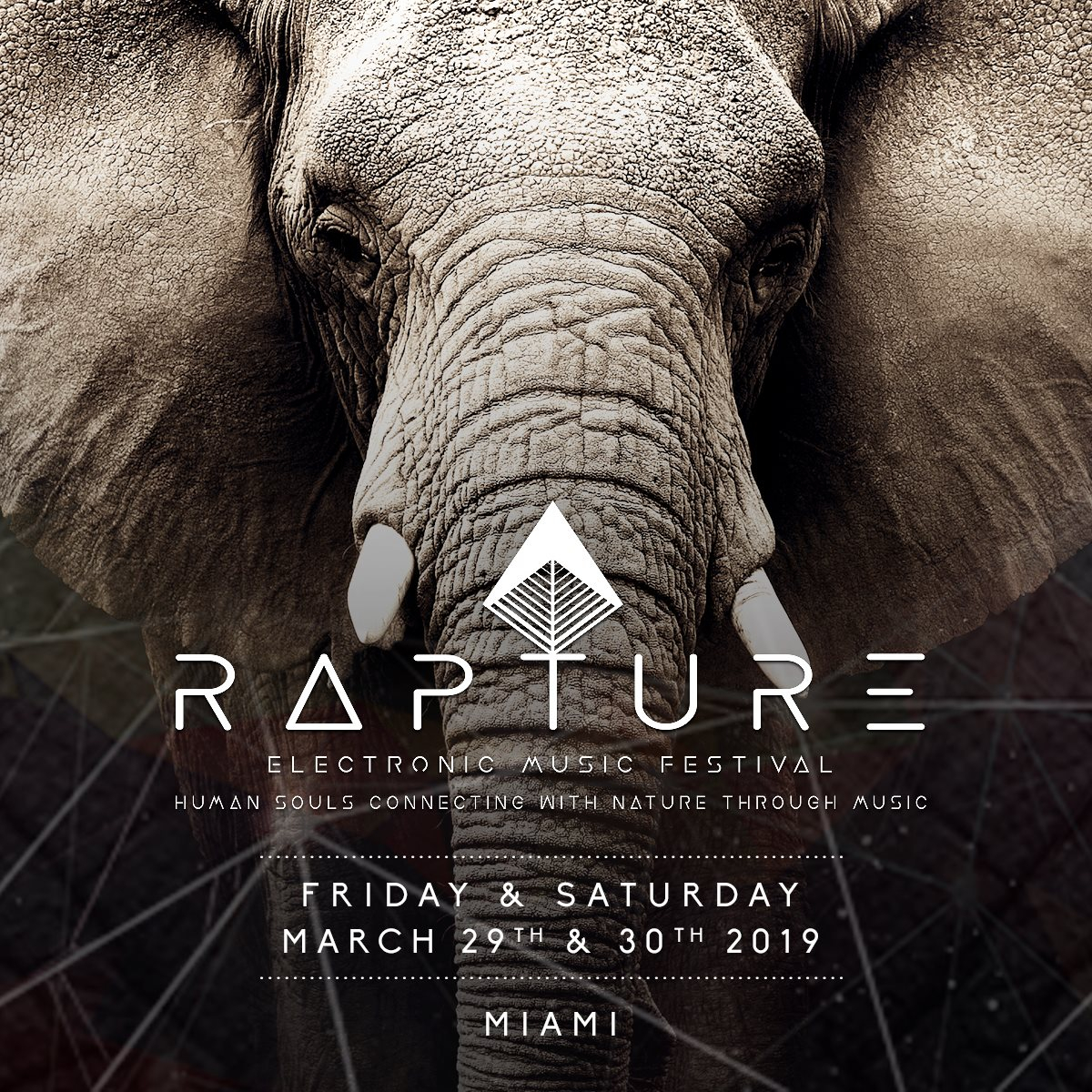 Rapture Festival 2019 - Flyer back