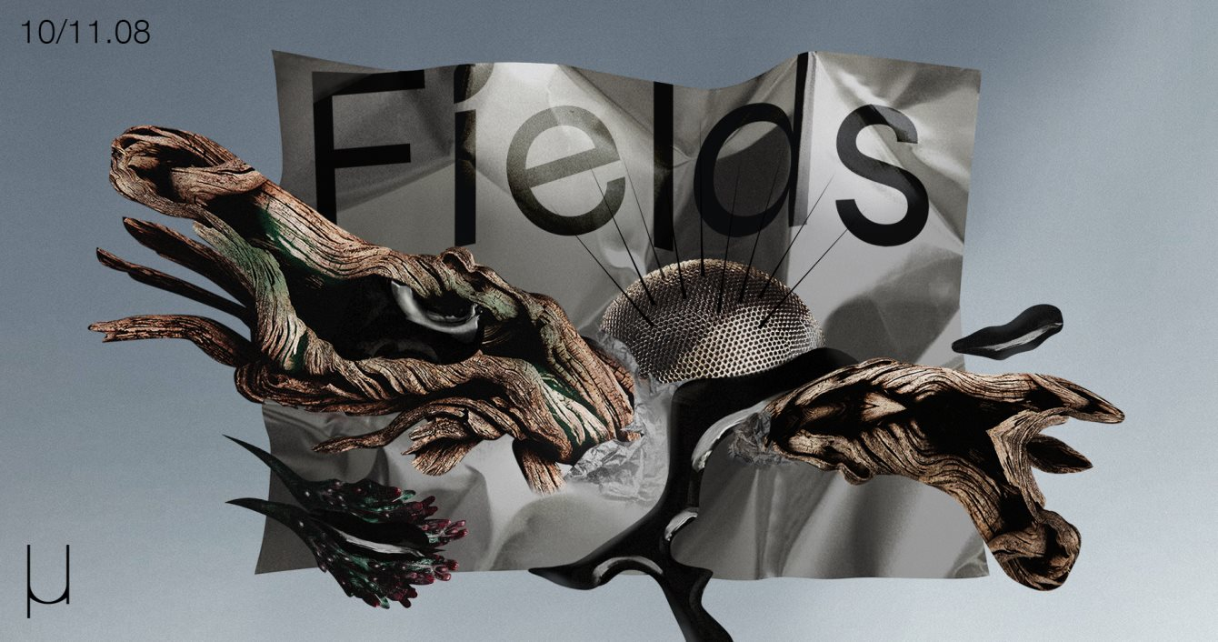 Fields Festival - Flyer front