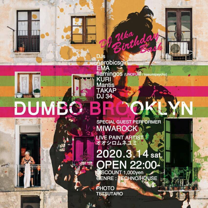 Dumbo Brooklyn At Cafe Flamingo Tokyo