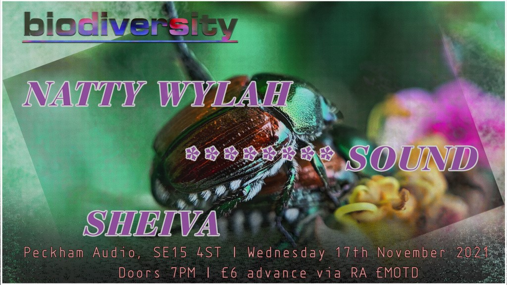 Biodiversity: Natty Wylah, Sheiva & Monzanto Sound - Flyer front