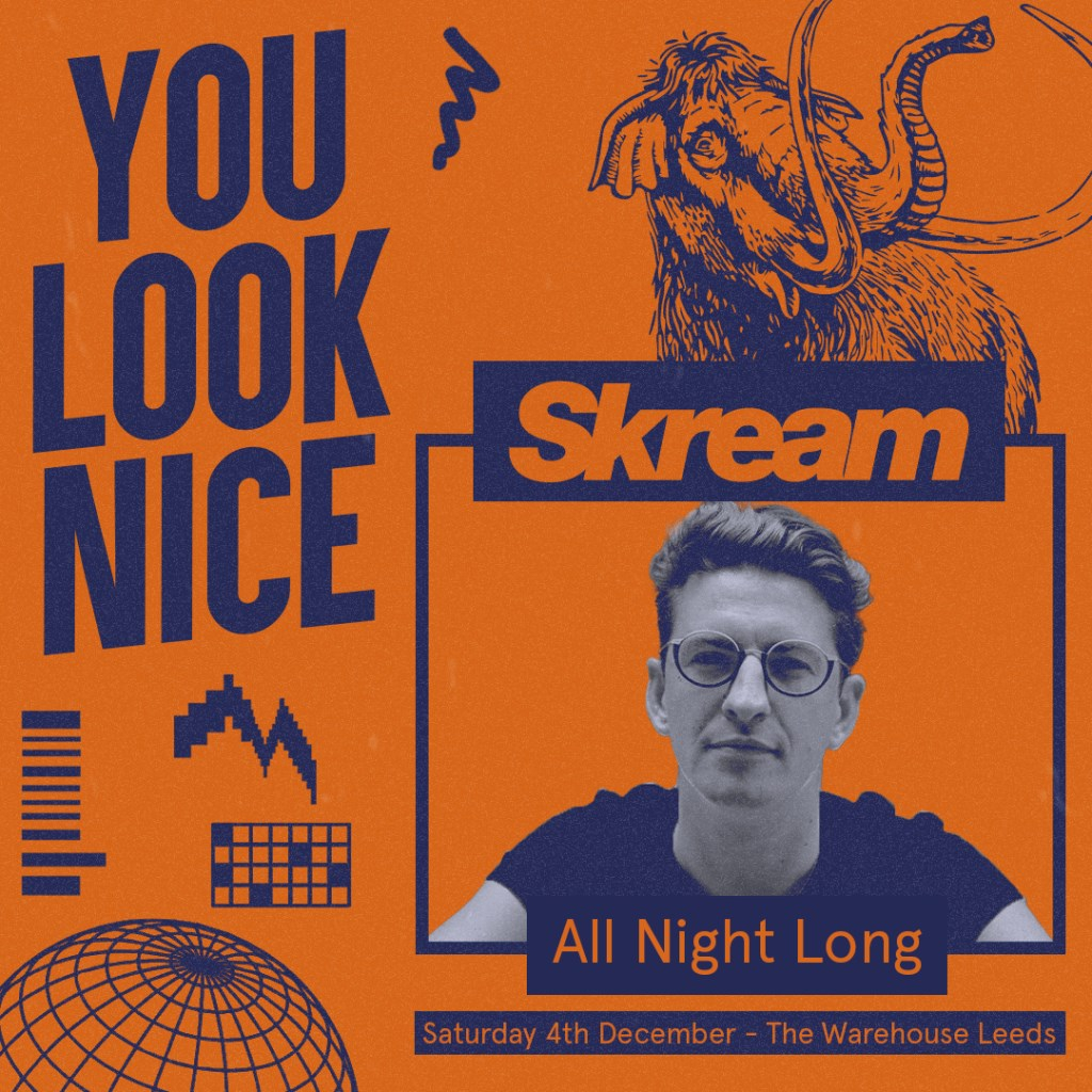 You Look Nice: Skream - All Night Long - Flyer back