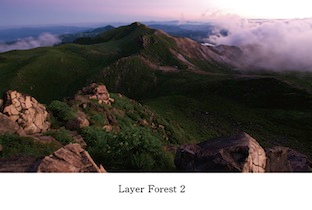コンピレーション・アルバム『Layer Forest 2』が、AYより発表 image