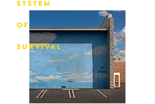 System Of Survival work with Needle And Thread image