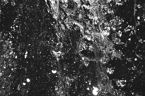 Guillaume Coutu-Dumont to release ambient album as Muséum image