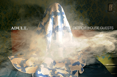 Douglas J McCarthy, Michael Gira feature on new ADULT. album, Detroit House Guests image