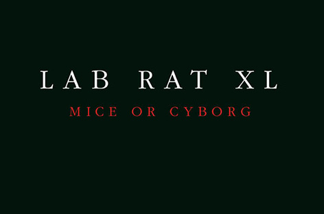 The final Drexciyan 'storm,' Lab Rat XL album Mice Or Cyborg, to be repressed by Clone image