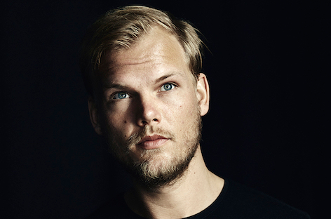 Avicii family statement implies suicide image