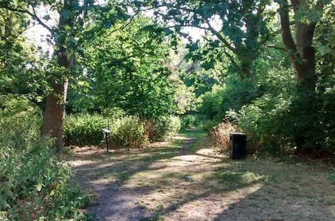 Hackney Council pursues stricter penalties for Wick Woodland raves image