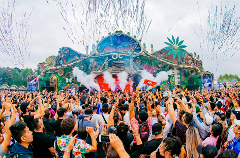 Tomorrowland employees confess to dealing drugs on festival site image