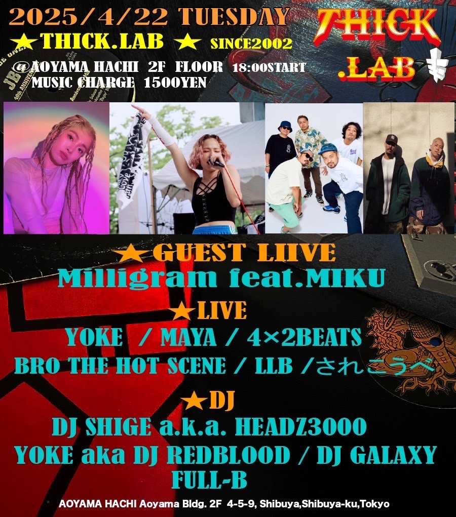 DJ HIBAHIHI AND DJ BOBO JAMES/STINKY ASS BUDDHA PORNO FUNK