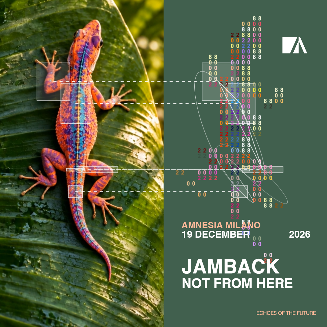 Jamback, Not From Here