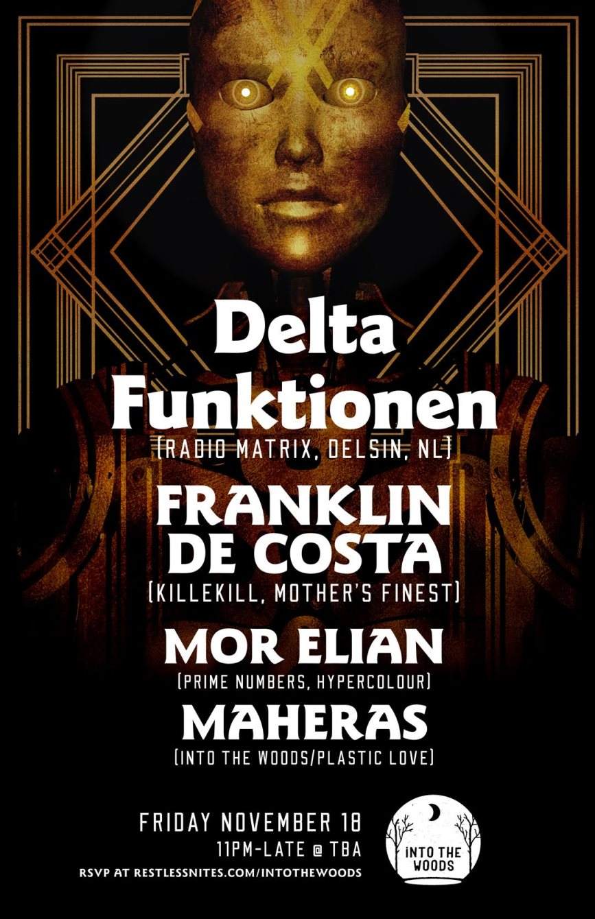 Into The Woods Feat. Delta Funktionen, Franklin De Costa, Mor Elian, Maheras - Página frontal