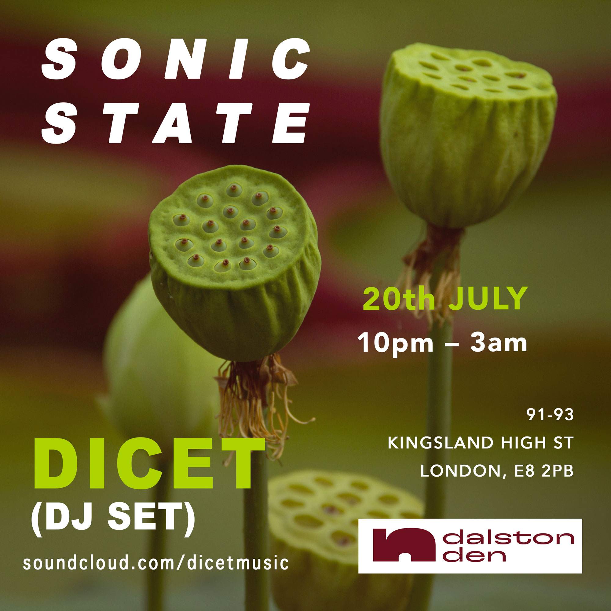 Sonic State - Dicet - Dalston Den at Dalston Den, London