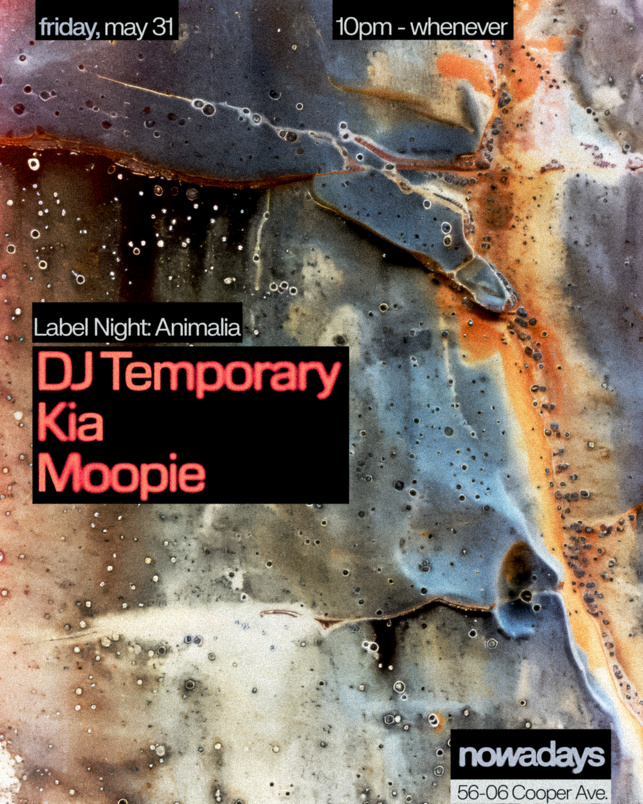 Label Night: Animalia with DJ Temporary, Kia, Moopie - Página frontal