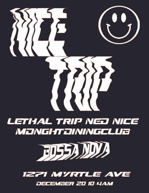 nice-trip-at-bossa-nova-civic-club-new-york-city