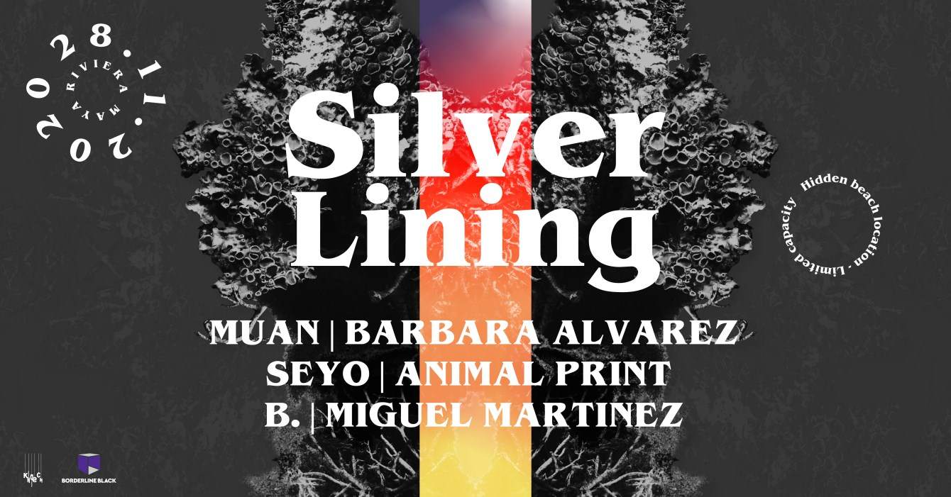 Silver Lining - Página frontal