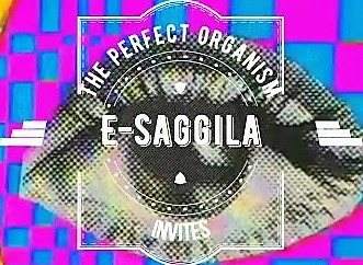 The Perfect Organism Invites E-Saggila - Página frontal