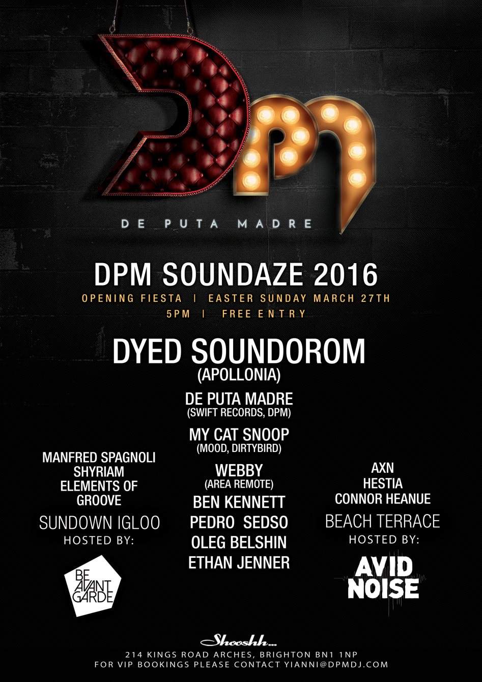 DPM 2016 Opening: Dyed Soundorom - フライヤー表