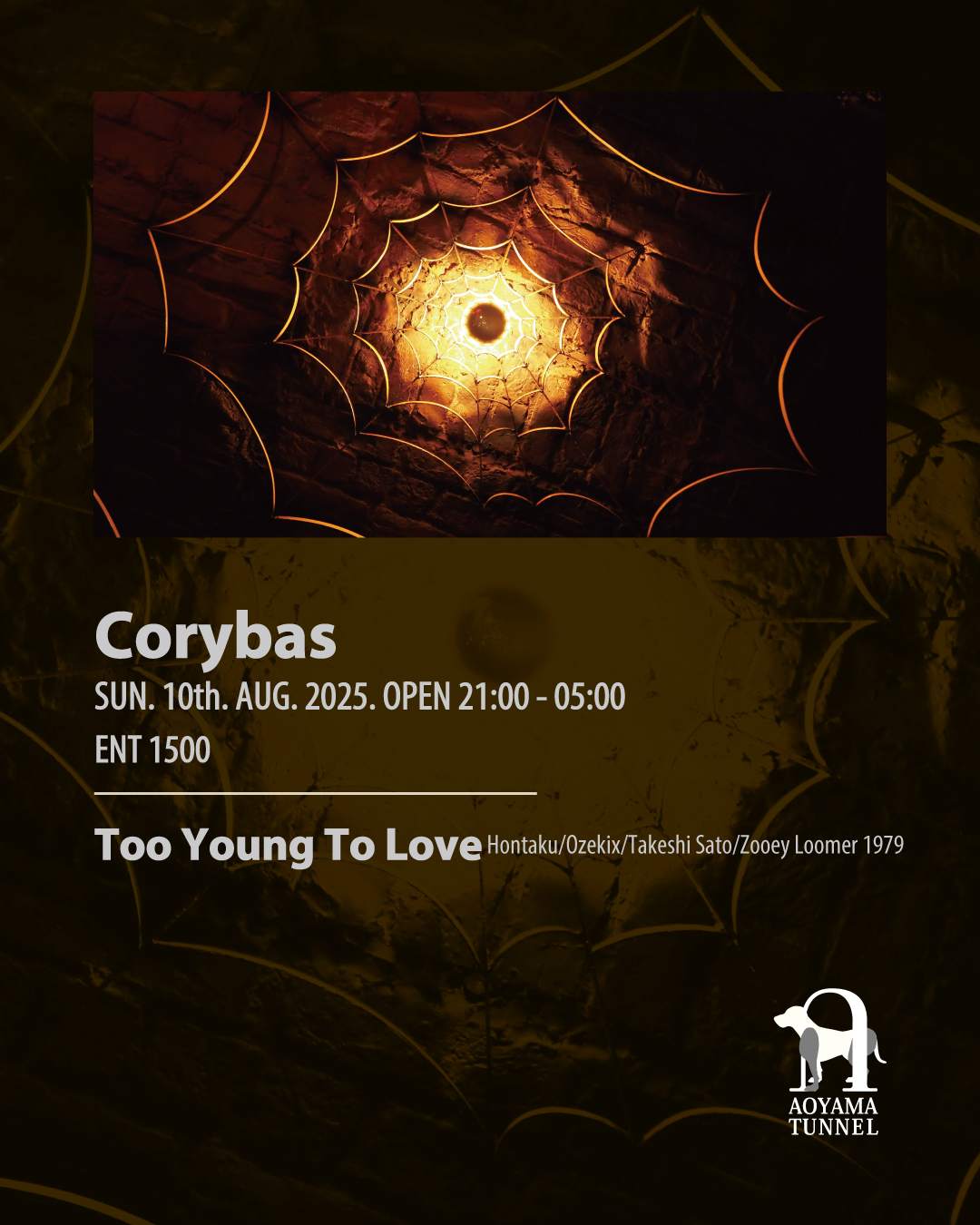 Corybas at Aoyama Tunnel, Tokyo