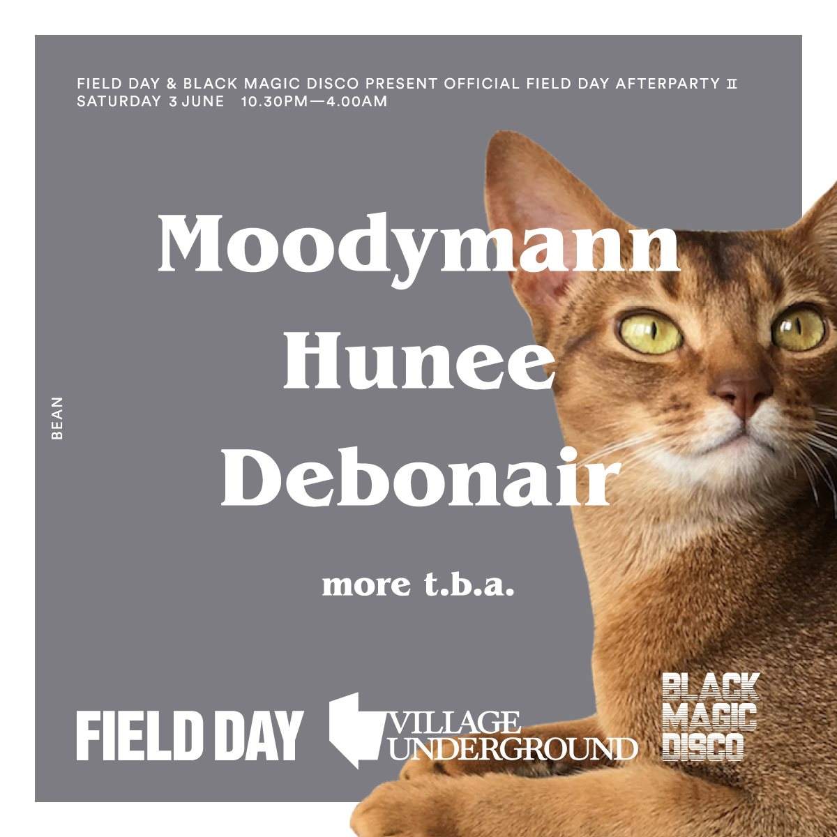 Field Day Official After Party 2 with Black Magic Disco - Moodymann, Hunee - フライヤー表