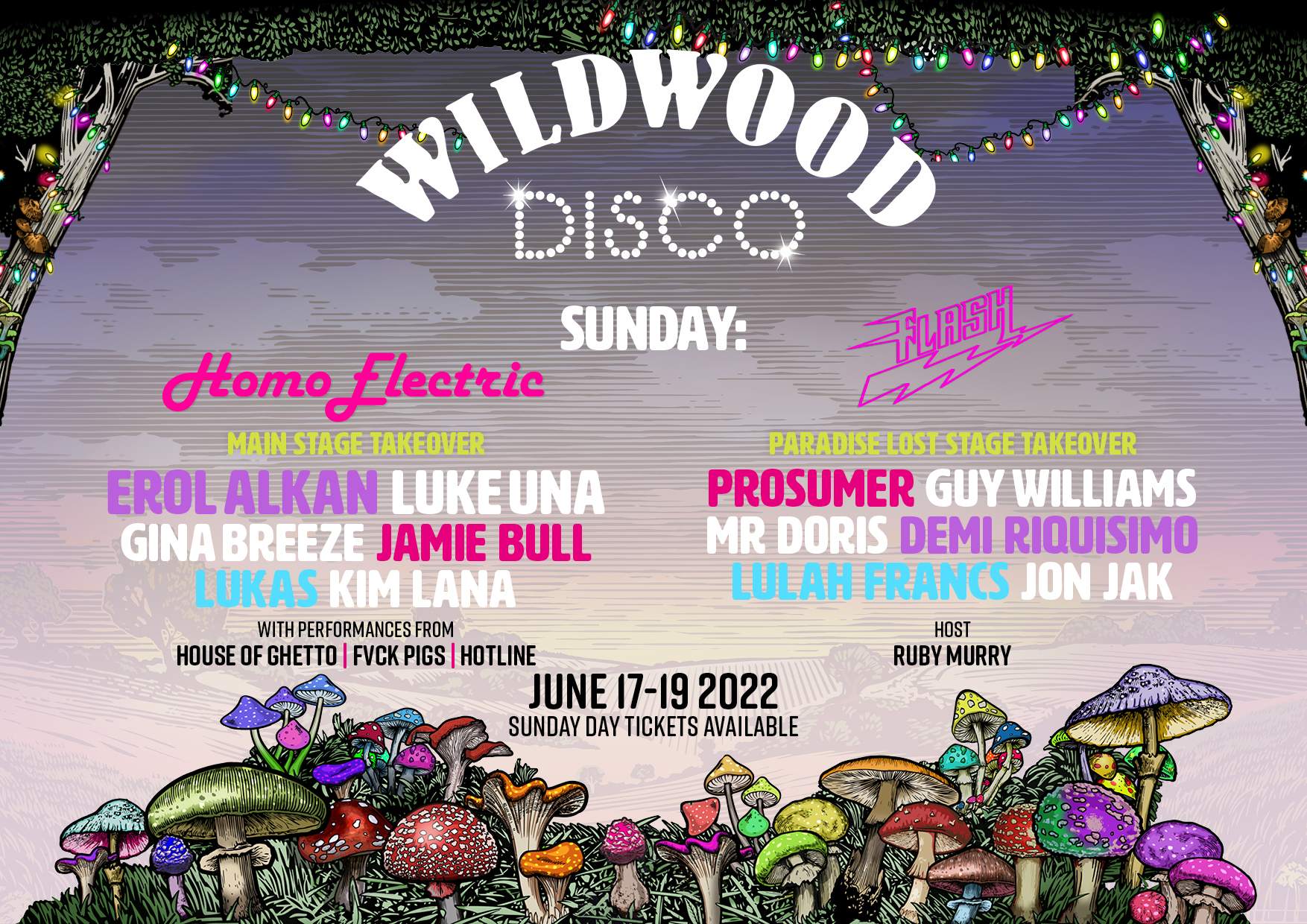 The Wild Wood Disco 17/18/19 June - フライヤー裏