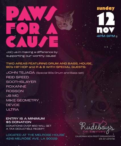 Paws for a Cause - フライヤー表