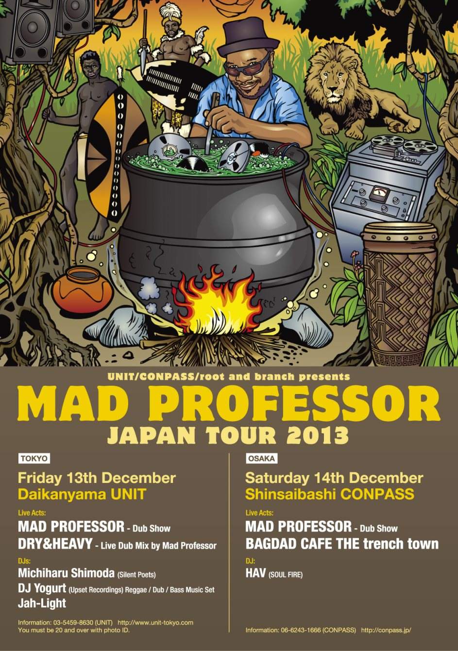 Mad Professor Japan Tour 2013 - フライヤー表