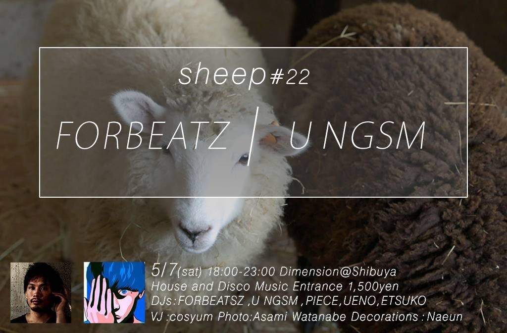Sheep #22 - フライヤー表